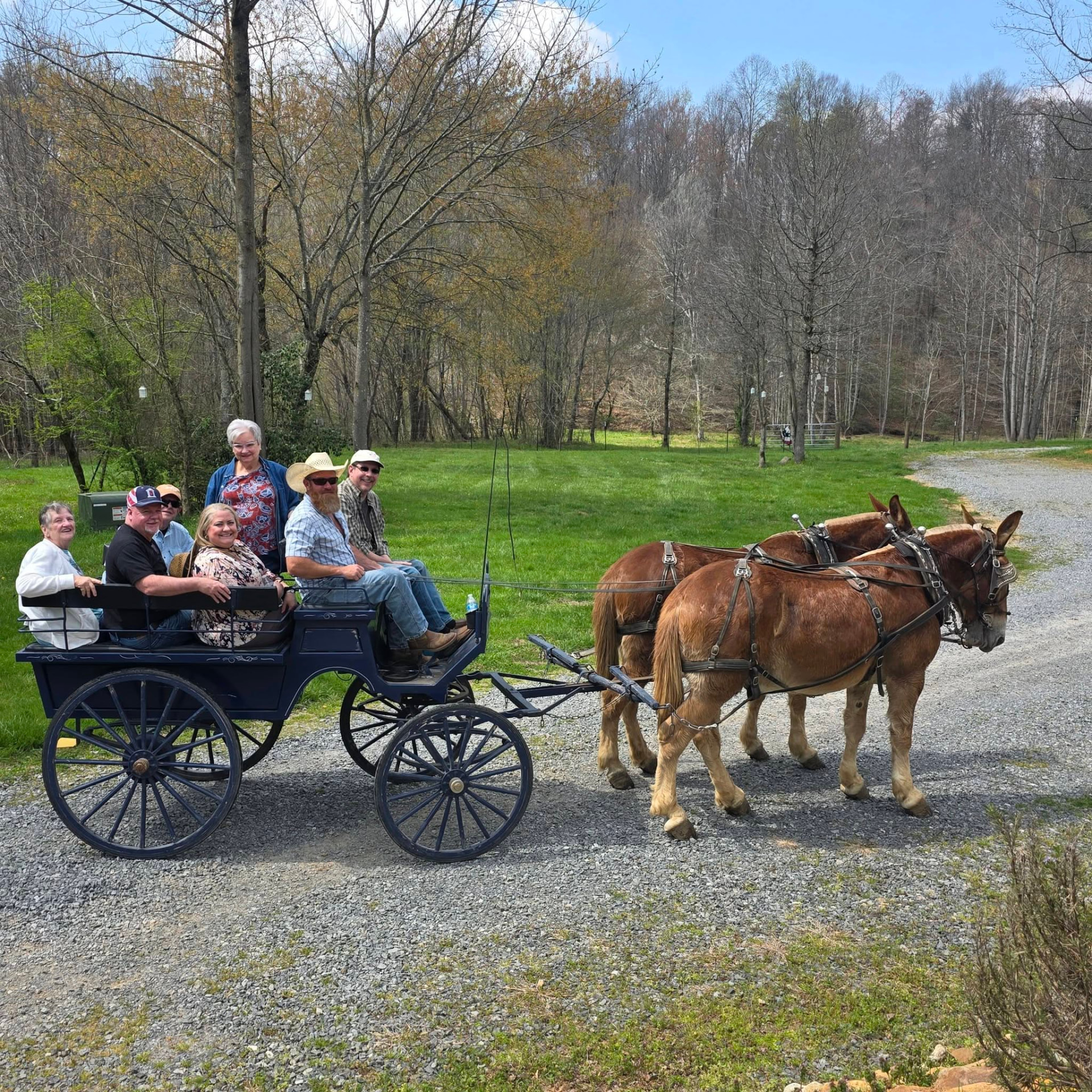 A smiling group of guests riding in the wagon behind Jim and Joe