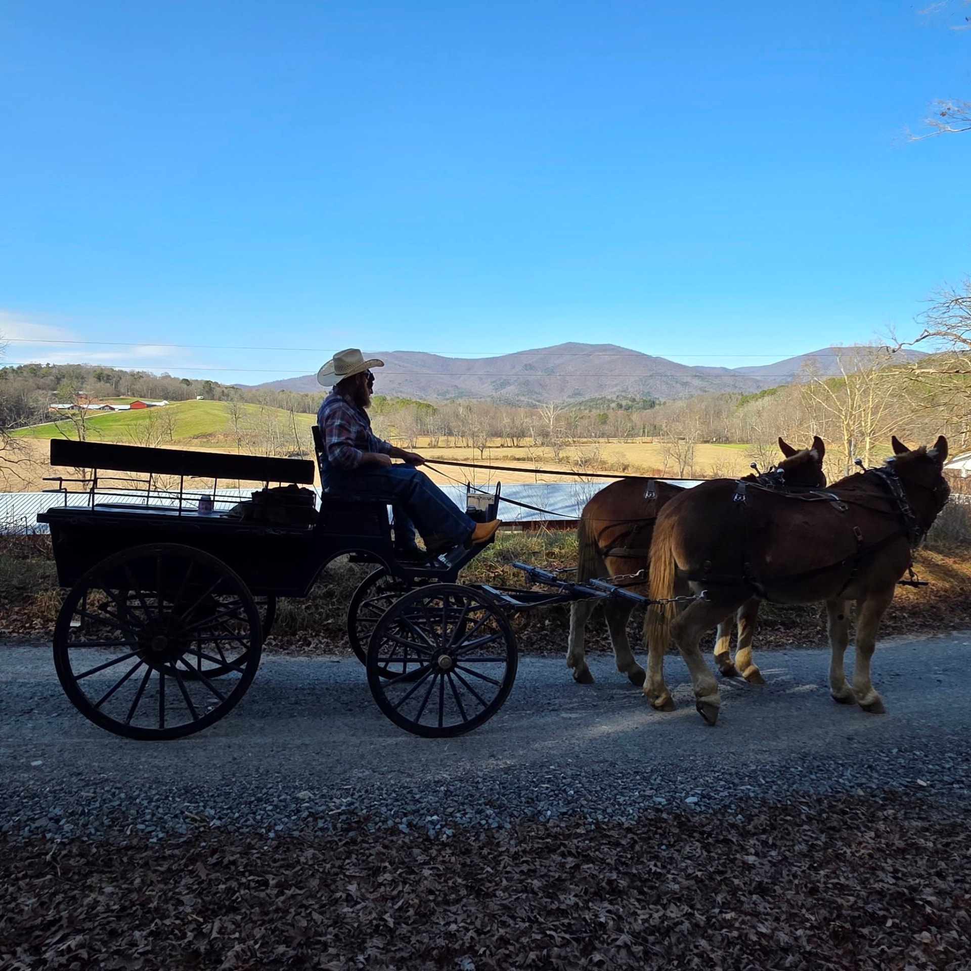 Jason driving Jim and Joe and the wagon along a country road with the North Georgia mountains beyond